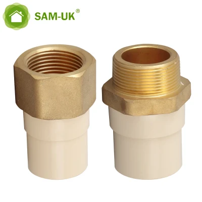 Factory Wholesale Custom Size Internal and External Thread Into Copper Pipe Plastic CPVC Pipes and Fittings